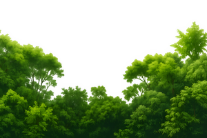 Anolilab Jungle